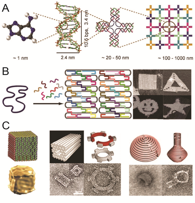 Research on bionanotechnology